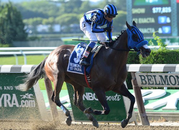 In the Zone for the Forego