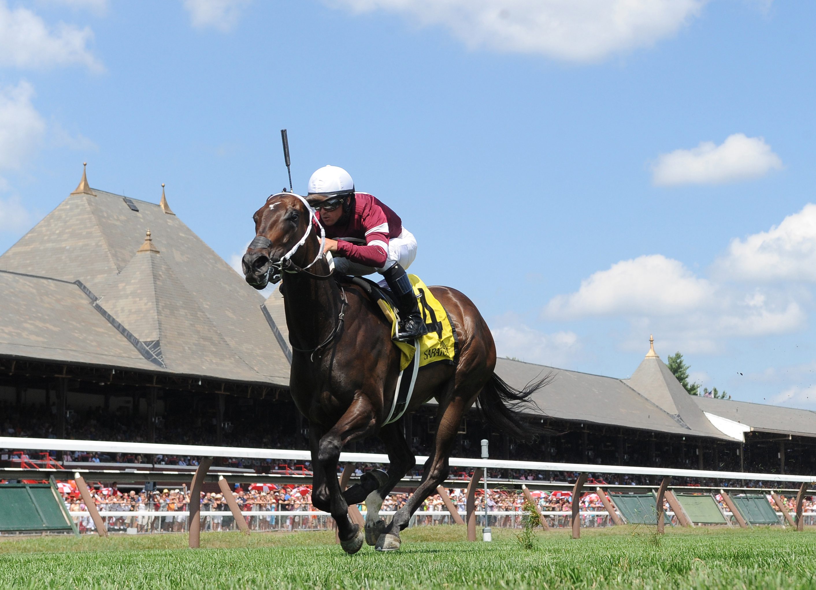 Not Much of a ‘Surprise’ at Saratoga