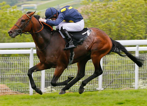 ‘Stars’ On Track For Third Classic