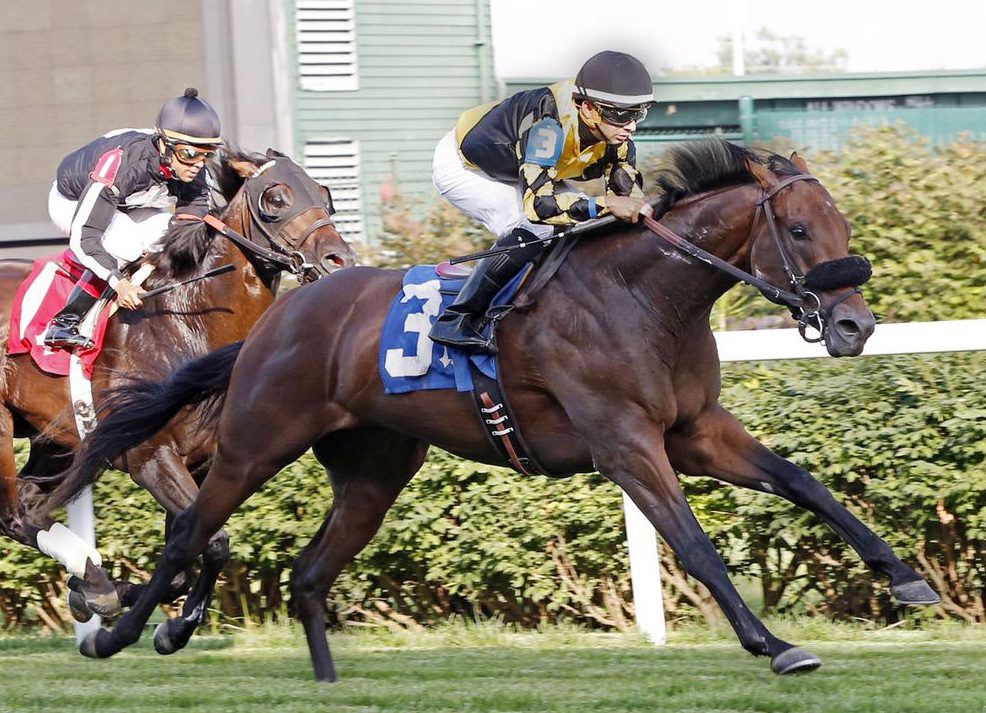 In Sharper Focus: Sylven Park