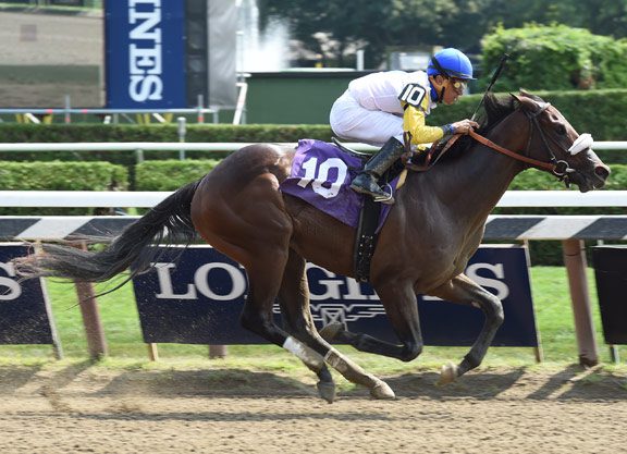 Tale of Ekati Colt Becomes Rising Star at the Spa