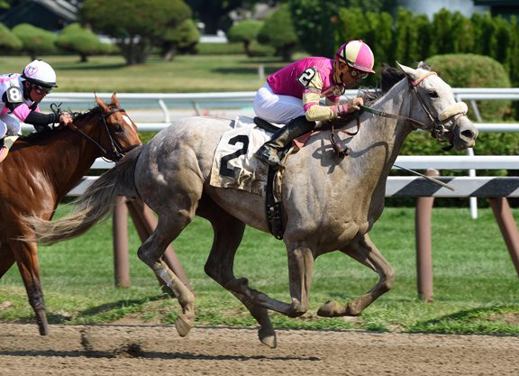 Spinaway ‘On Radar’ For Tap to It
