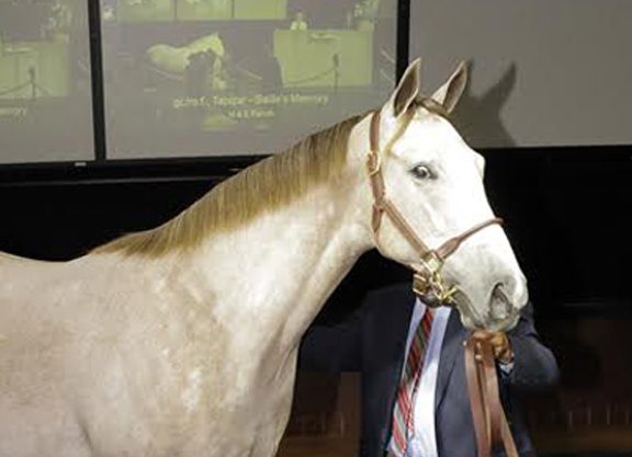 Barretts Holds Inaugural August Sale
