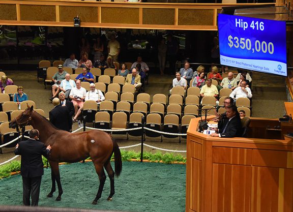 Strong Start to F-T NYB Sale