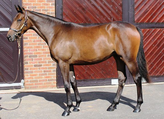 Newsells Set For Harvest Festival