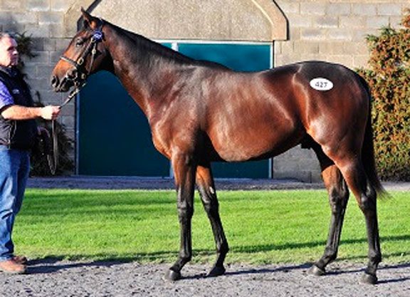 Records Broken At Tattersalls Ireland
