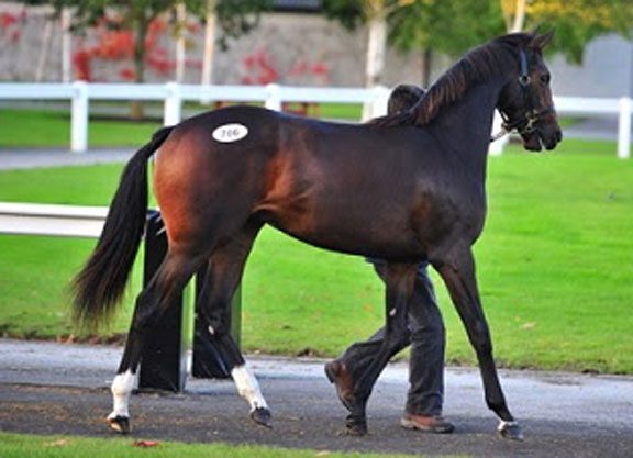 Tatts Ireland Wraps Up With Gains