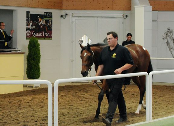 New Approach Colt Tops BBAG Sale