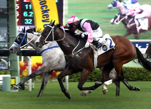 A ‘Beauty’ of a Feature at Sha Tin