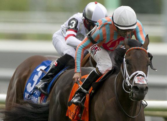 A Third Straight ‘Conquest’ in the Summer