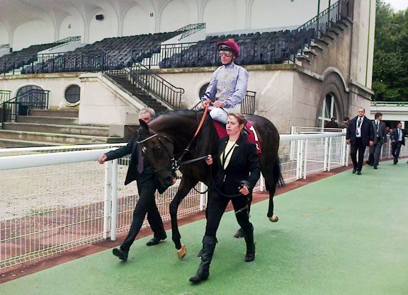 They Only Have Eyes for Her