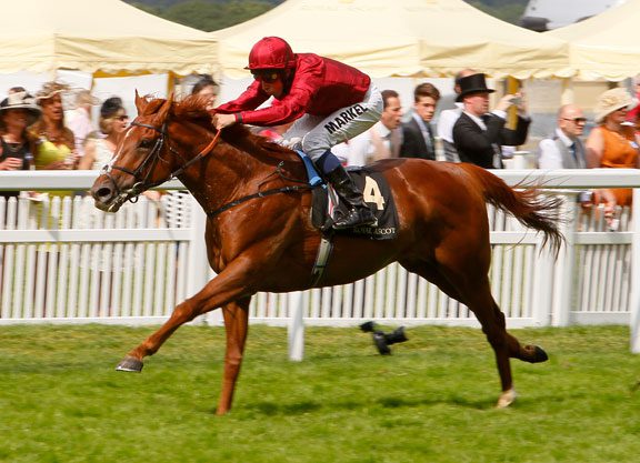 ‘Eagle’ Possible for Breeders’ Cup