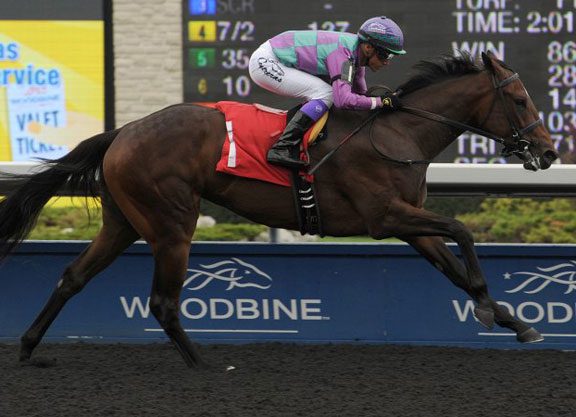 Coming From the ‘Clouds’ in the Natalma