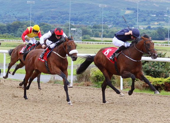 War Front Son Of Imagine Off the Mark At Dundalk