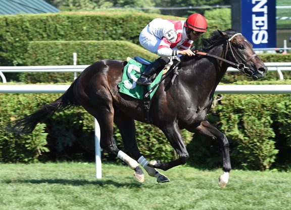 NY/NJ Raiders Look Tough at Laurel