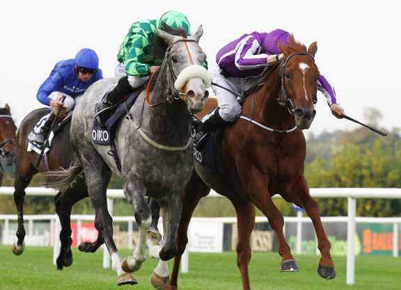 Big Guns Stand Their Ground