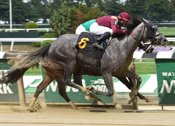 Tapit Filly Claws to Victory at Big Sandy