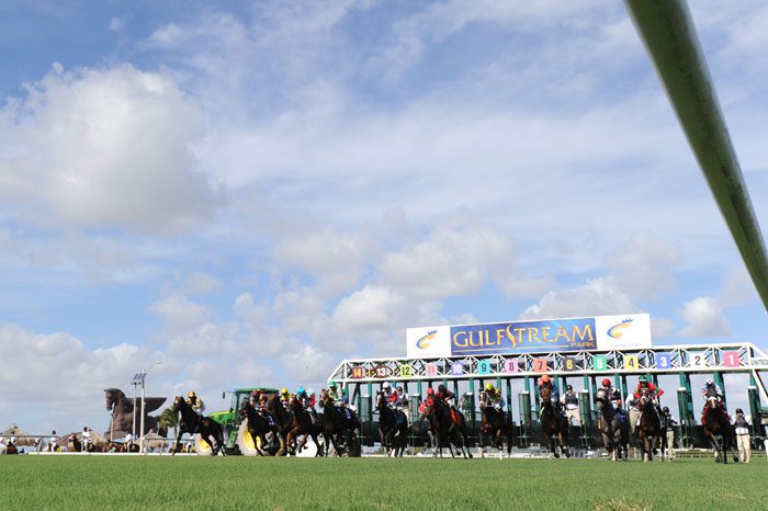 Selway: Lasix Study Proceeding Nicely