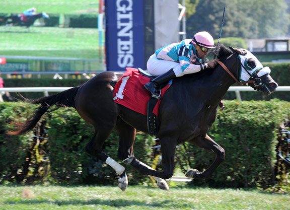 Sky Mesa Colt Dons Cap and Gown at the Spa
