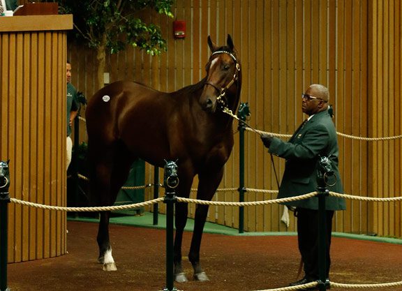 Medaglia d’Oro Colt Bought by Powerhouse Partnership