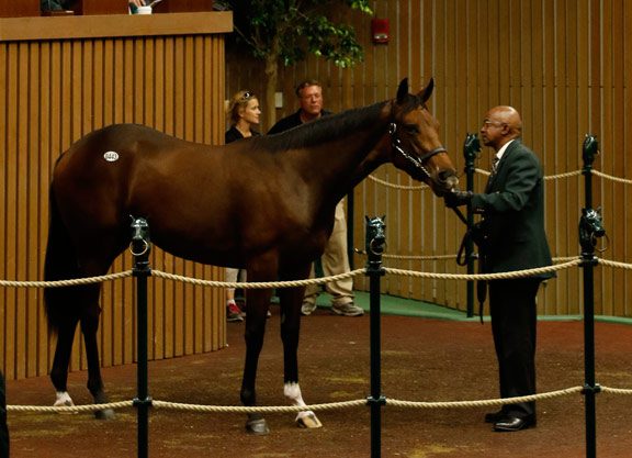 Fastnet Rock Filly Brings a Cool Million