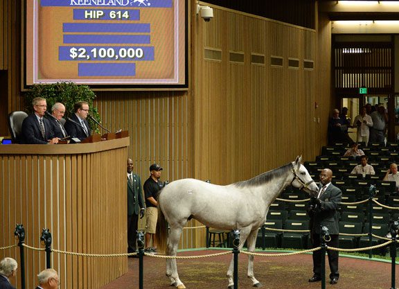 Pope Goes to $2.1 Million for Tapit Colt