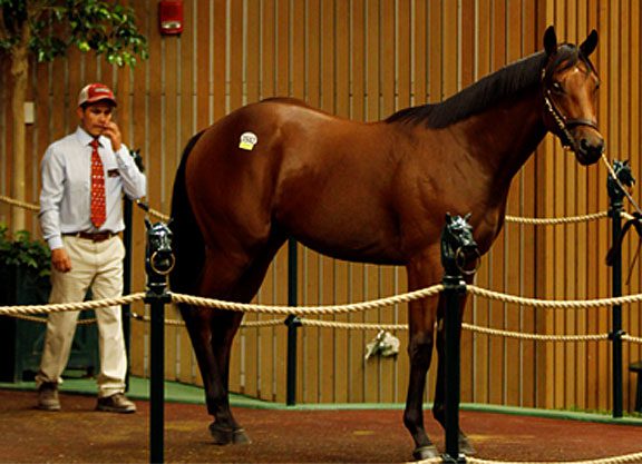 Uncle Mo Colt the New Session Topper at KEESEP