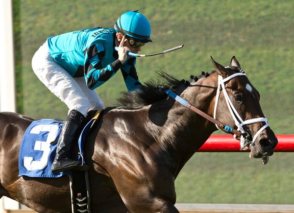 Tapit Colt Scores in Del Mar Juv Turf S.