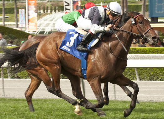 Full Field for Canadian