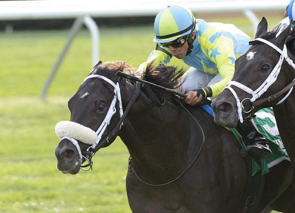 Lonhro Colt Becomes Sire’s First U.S. Graded Stakes Winner