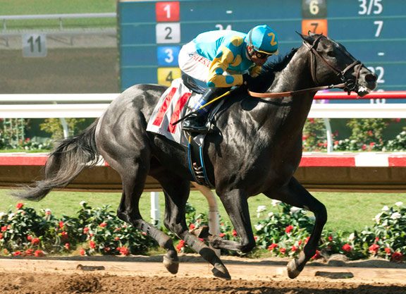 A ‘Zensational’ Performance From New ‘Rising Star’