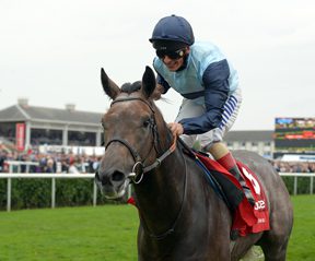 Kingston Hill Retired to Coolmore