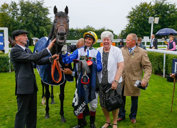 Newmarket Plan For Bear