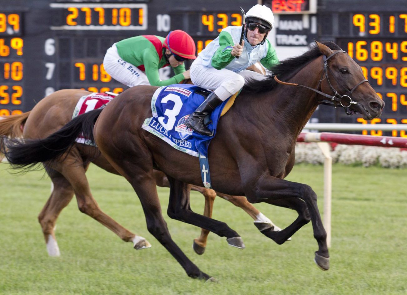 Tatts Catalogues 1677 for Autumn HIT Sale