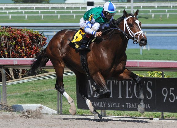 Record Stakes Schedule for Gulfstream Meet