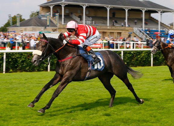 Mecca Team All Set For Abbaye