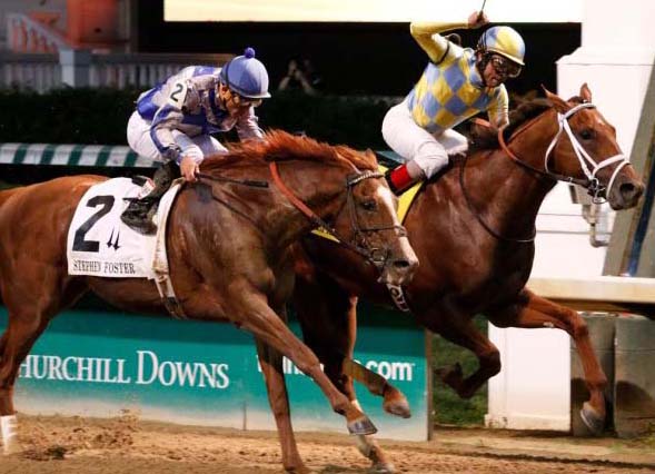 Noble Bird Done for Year