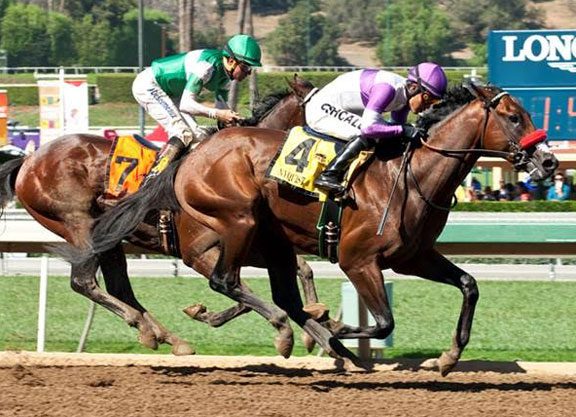 Nyquist Remains Unbeaten in the FrontRunner