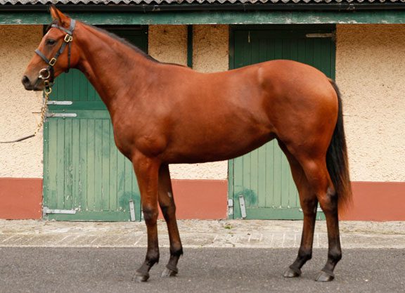 Raven’s Pass Filly the New Queen at Orby