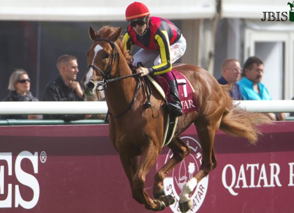 Orfevre Elected to JRA Hall of Fame