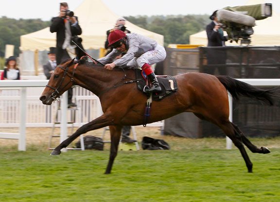 Sands Point Has Foreign Flavor