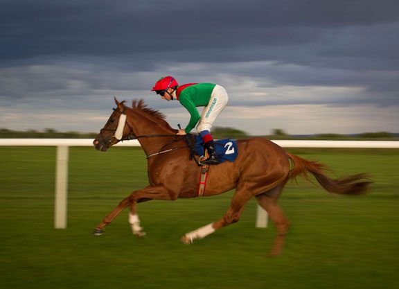 Panama On Course For Irish Classic