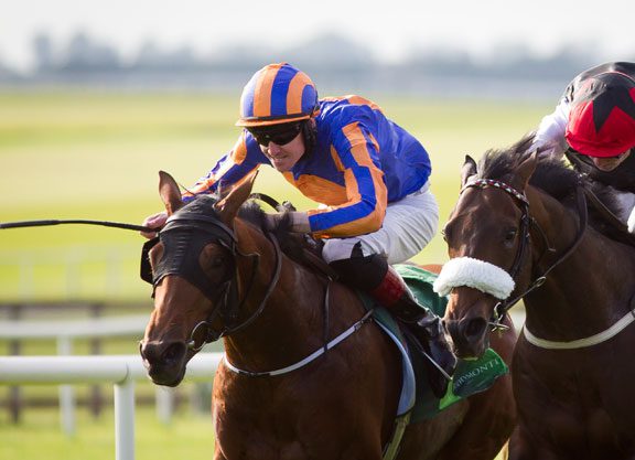 Galileo’s Port Douglas Gives Aidan O’Brien the Beresford Record