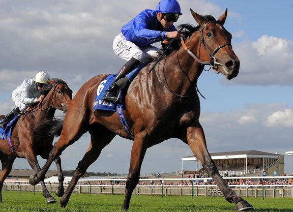 Hard Spun Filly Strongest In Rockfel Examination