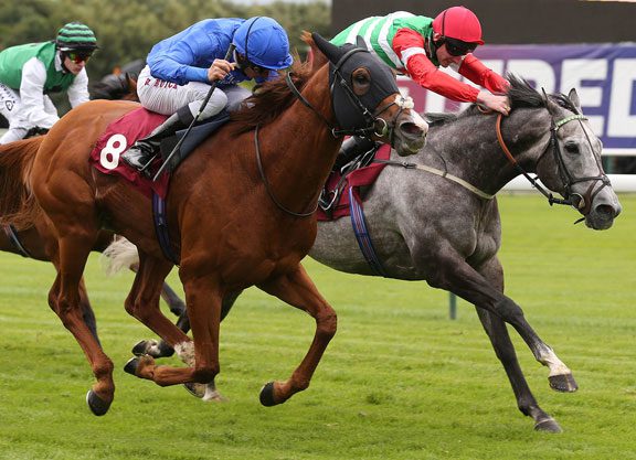 Del Mar An Option For Pankhurst