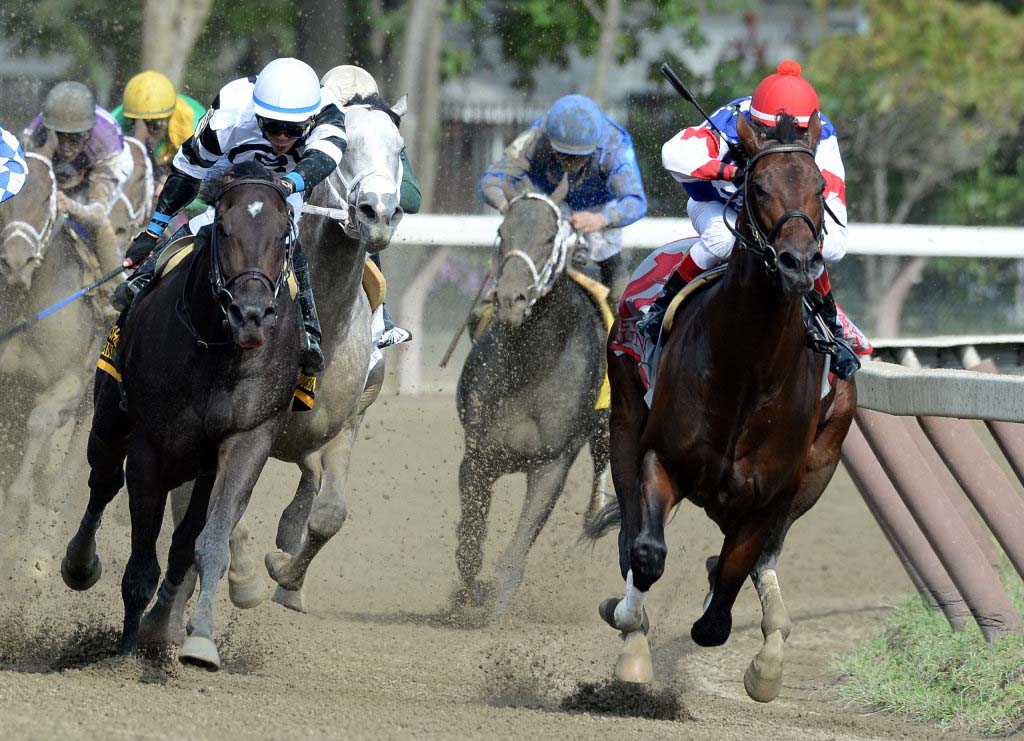 ‘Limousine’ Ready to Roll into Parx