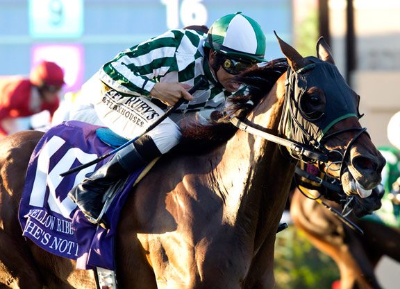 She’s Not Here Rallies for Yellow Ribbon H. Victory