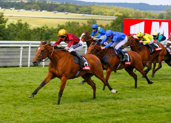 Simple Verse Added To Leger Field