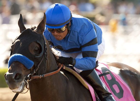 Sky Kingdom Retired to Darby Dan