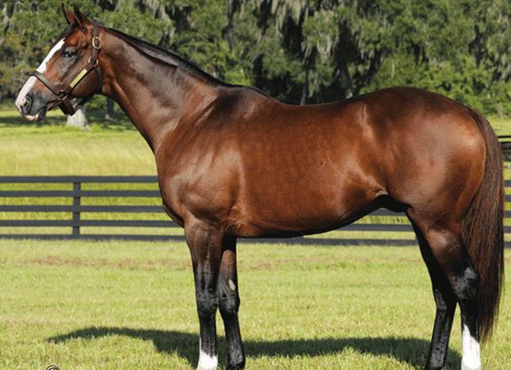 Sligo Bay Firster Annexes Woodbine Finale